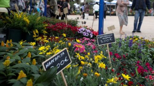 anthokomiki Varkiza Έρχεται η 35η Ανθοκομική Έκθεση στη Βάρκιζα