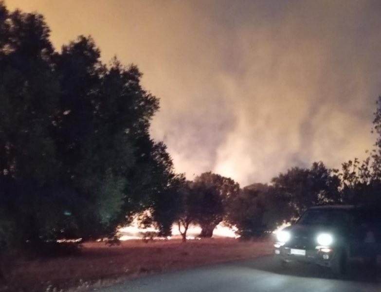 Κι άλλη φωτιά στην Κερατέα 2 fotia Keratea 1 fotia Keratea 1 Κι άλλη φωτιά στην Κερατέα