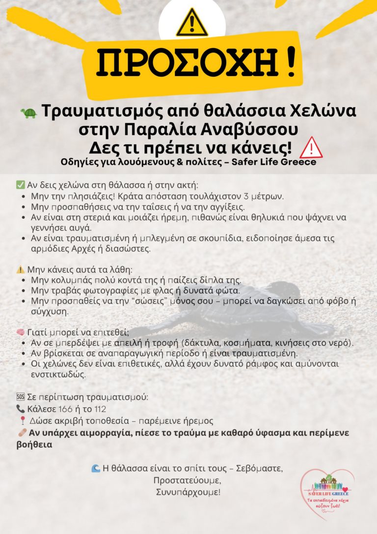 Σοβαρός τραυματισμός λουόμενης από θαλάσσια χελώνα στην Ανάβυσσο