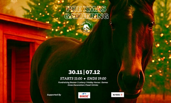 Help Horses Ymittos Pre Christmas Gathering Pre Christmas Gathering με τα άλογα του Υμηττού