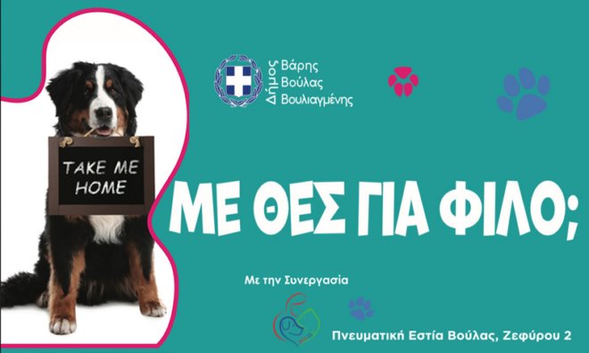 dog yothesia Γιορτή υιοθεσίας σκύλων από τον Δήμο Βάρης Βούλας Βουλιαγμένης