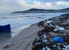 Varkiza skoupidia 1 Εθελοντές μάζεψαν από την παραλία της Βάρκιζας 1500 κιλά σκουπίδια και συνεχίζουν