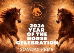 help horses Ymittos year Γιορτάζουμε τη χρονιά των αλόγων με τα άλογα του Υμηττού