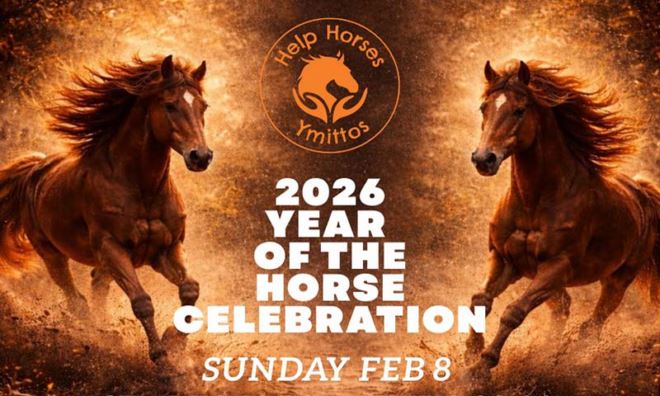 help horses Ymittos year Γιορτάζουμε τη χρονιά των αλόγων με τα άλογα του Υμηττού