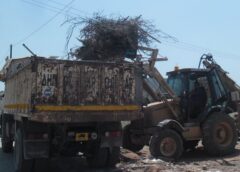 Koropi ogkodi Κορωπί: Πρόγραμμα για την αποκομιδή ογκωδών και κλαδεμάτων