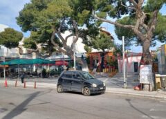 peuka plateia Koropi Ποια από τα εφτά πεύκα της κεντρικής πλατείας Κορωπίου θα κοπούν