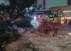 peuko plateia Koropi 1 Κατέρρευσε πεύκο στην κεντρική πλατεία του Κορωπίου λόγω των ισχυρών ανέμων