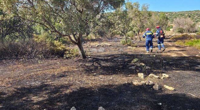 Κορωπί: Συνελήφθη 27χρονος για τη φωτιά στον Καρελλά – Ρευματοκλοπή προκάλεσε την πυρκαγιά