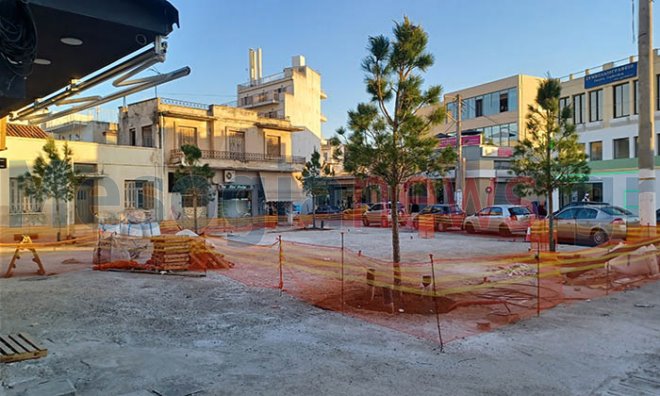 plateia Koropi peuka Τοποθετήθηκαν πέντε δέντρα στην κεντρική πλατεία του Κορωπίου