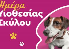 yiothesia skylon Ημέρα υιοθεσίας σκύλων στη Βάρκιζα