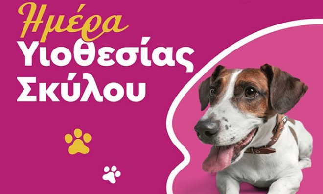 yiothesia skylon Ημέρα υιοθεσίας σκύλων στη Βάρκιζα