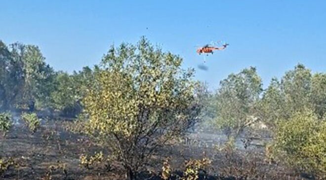 Φωτιά στο Κορωπί: Η άμεση κινητοποίηση απέτρεψε την εξάπλωσή της